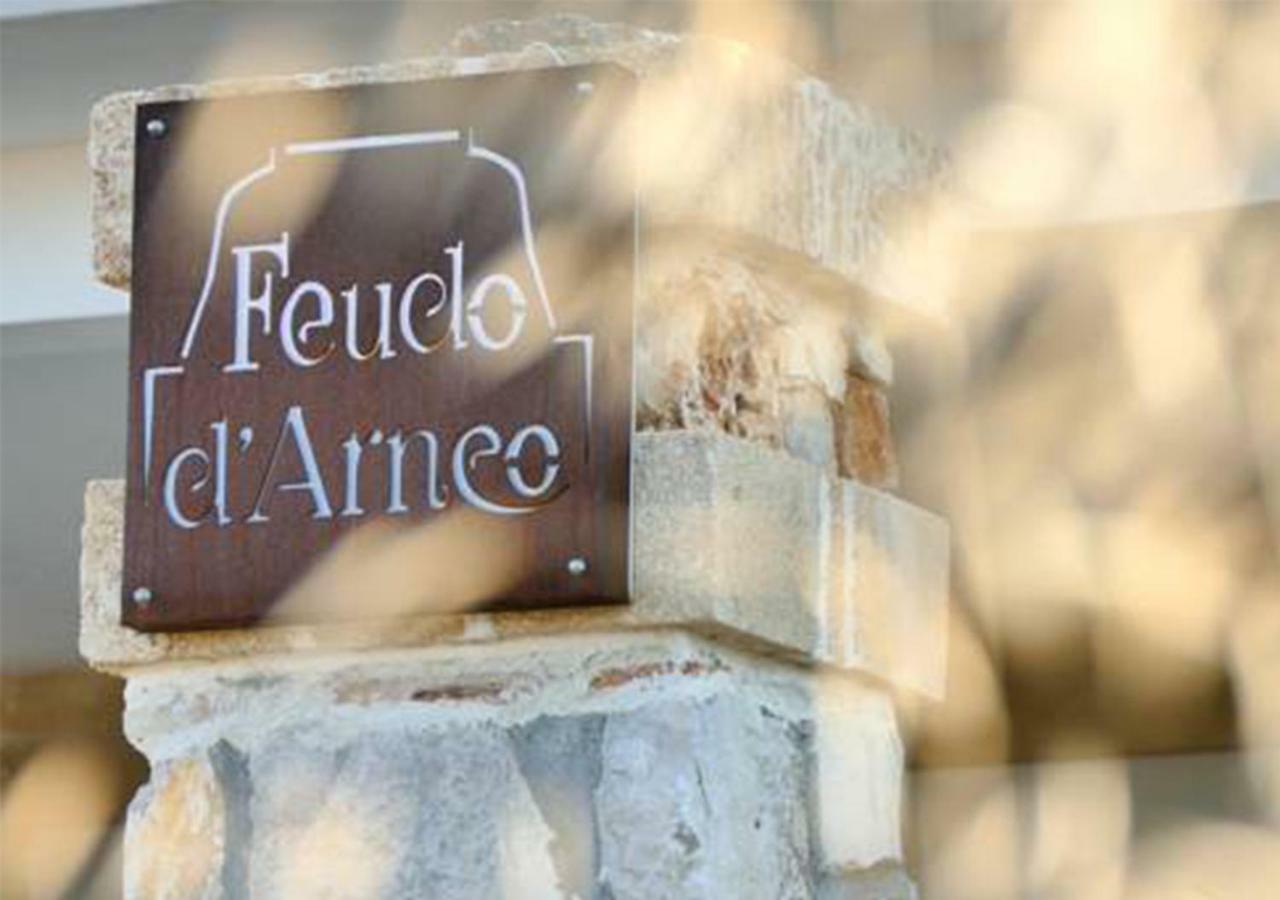 托雷拉皮罗 Feudo D'Arneo酒店 外观 照片